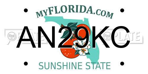 AN29KC Florida License Plate