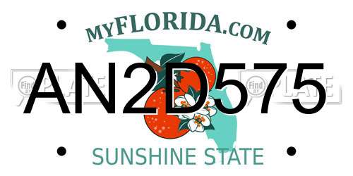 AN2D575 Florida License Plate