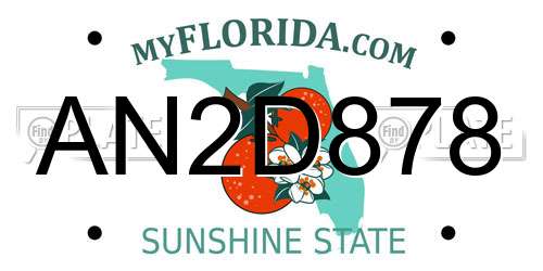 AN2D878 Florida License Plate