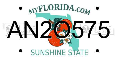 AN2O575 Florida License Plate