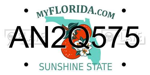 AN2Q575 Florida License Plate