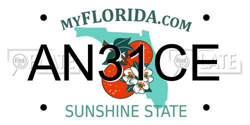 AN31CE Florida License Plate
