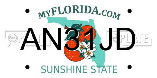 AN31JD Florida License Plate
