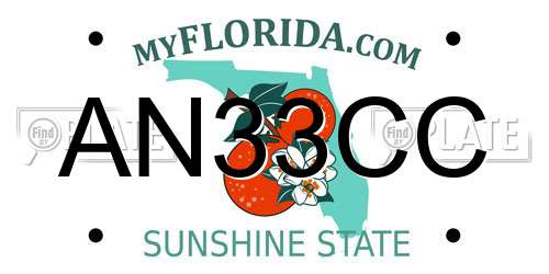 AN33CC Florida License Plate