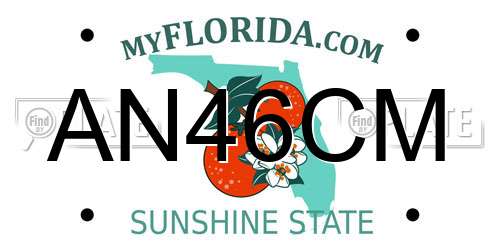 AN46CM Florida License Plate