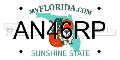 AN46RP Florida License Plate