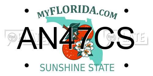 AN47CS Florida License Plate