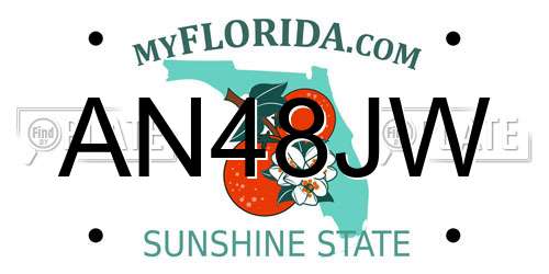 AN48JW Florida License Plate