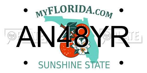 AN48YR Florida License Plate