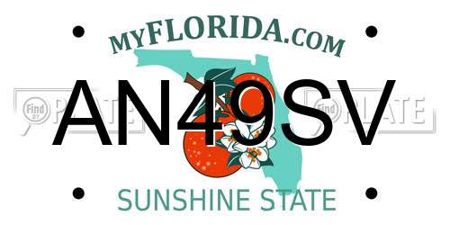 AN49SV Florida License Plate