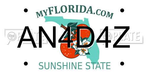 AN4D4Z Florida License Plate