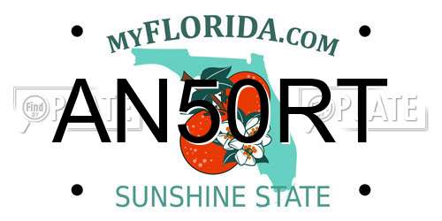 AN50RT Florida License Plate
