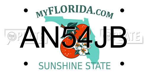 AN54JB Florida License Plate