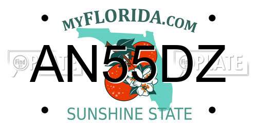 AN55DZ Florida License Plate