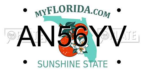 AN56YV Florida License Plate