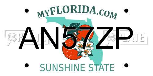 AN57ZP Florida License Plate