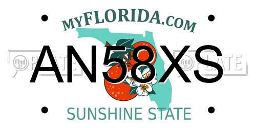 AN58XS Florida License Plate