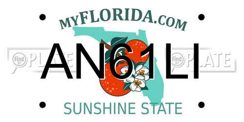 AN61LI Florida License Plate