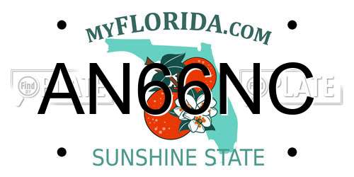 AN66NC Florida License Plate
