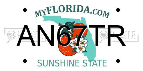 AN67TR Florida License Plate