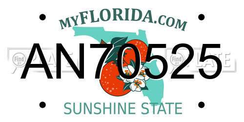 AN70525 Florida License Plate