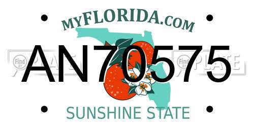 AN70575 Florida License Plate