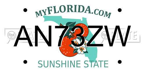 AN73ZW Florida License Plate
