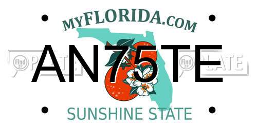 AN75TE Florida License Plate