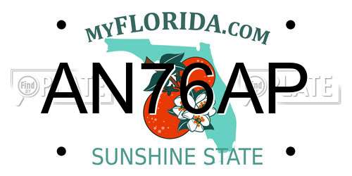 AN76AP Florida License Plate