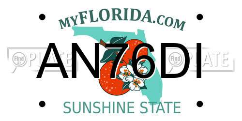 AN76DI Florida License Plate