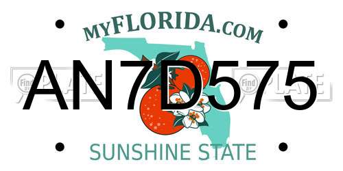 AN7D575 Florida License Plate