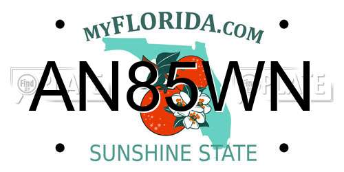 AN85WN Florida License Plate