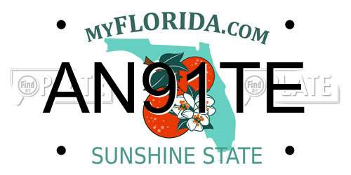 AN91TE Florida License Plate