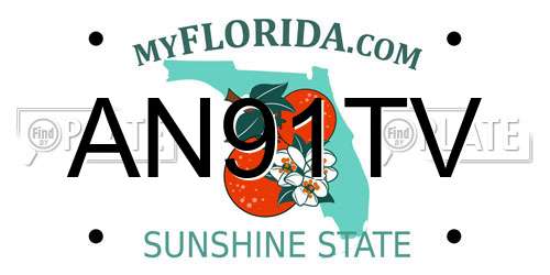AN91TV Florida License Plate