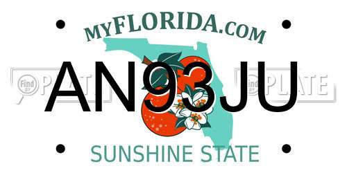AN93JU Florida License Plate