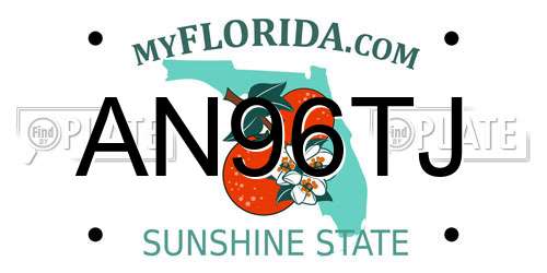 AN96TJ Florida License Plate