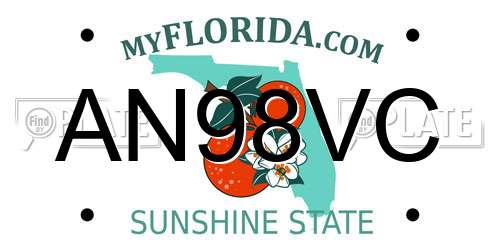 AN98VC Florida License Plate