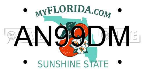 AN99DM Florida License Plate