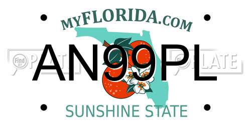 AN99PL Florida License Plate