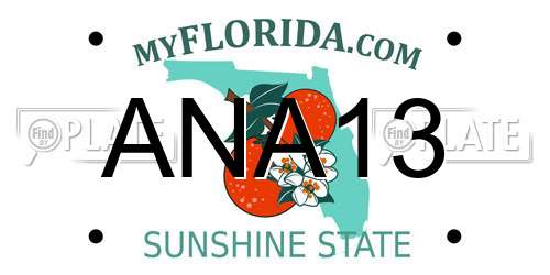 ANA13 Florida License Plate