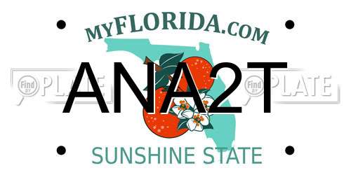 ANA2T Florida License Plate