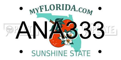 ANA333 Florida License Plate