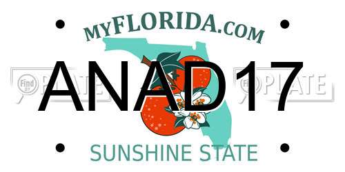 ANAD17 Florida License Plate