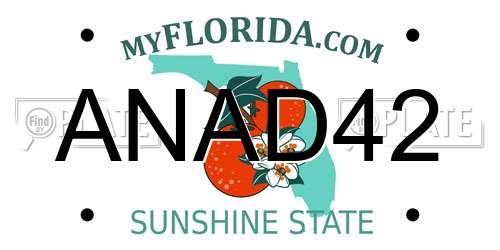 ANAD42 Florida License Plate