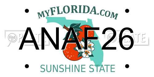 ANAF26 Florida License Plate