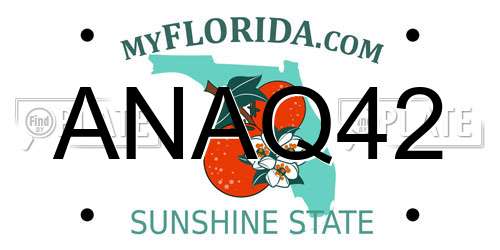 ANAQ42 Florida License Plate