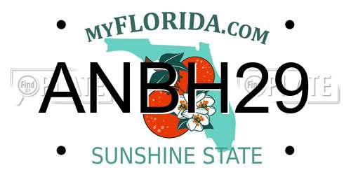 ANBH29 Florida License Plate