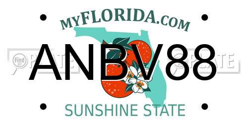 ANBV88 Florida License Plate