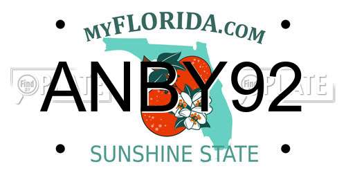 ANBY92 Florida License Plate