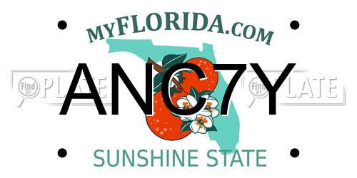 ANC7Y Florida License Plate